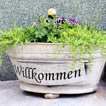 Ferienhaus "Am Gutspark" Alt Tucheband エクステリア 写真