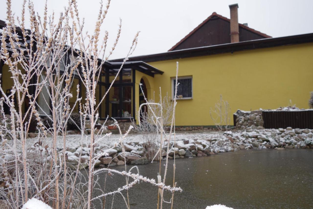 Ferienhaus "Am Gutspark" Alt Tucheband エクステリア 写真