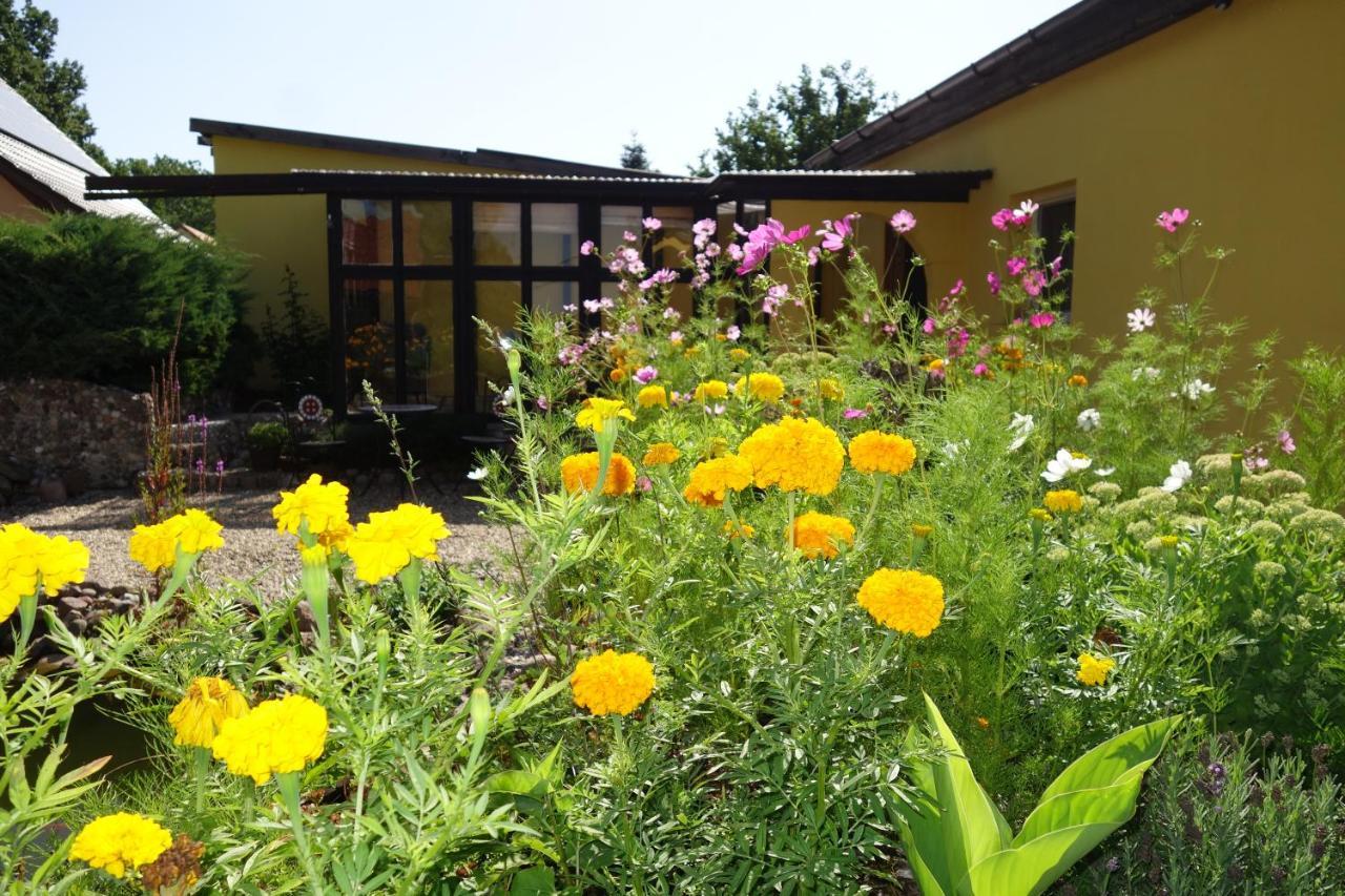 Ferienhaus "Am Gutspark" Alt Tucheband エクステリア 写真
