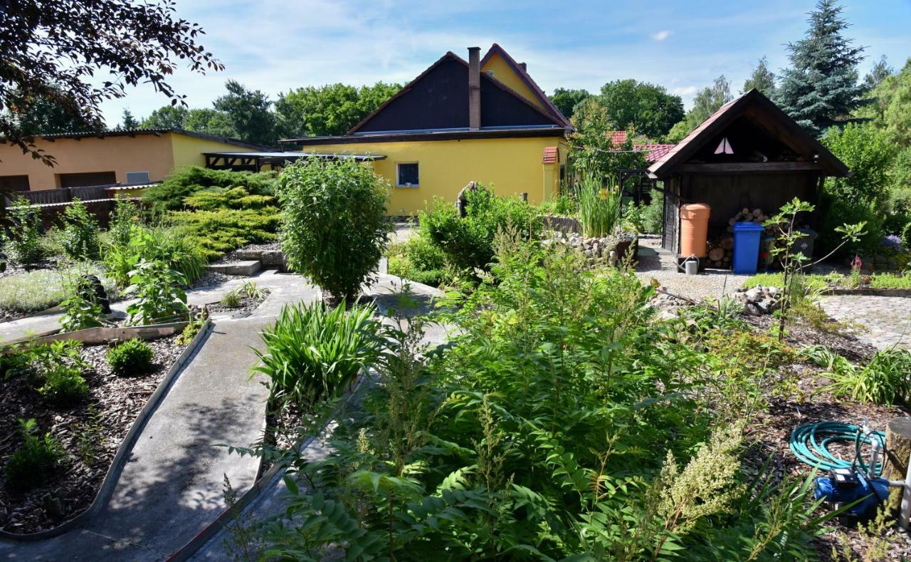 Ferienhaus "Am Gutspark" Alt Tucheband エクステリア 写真