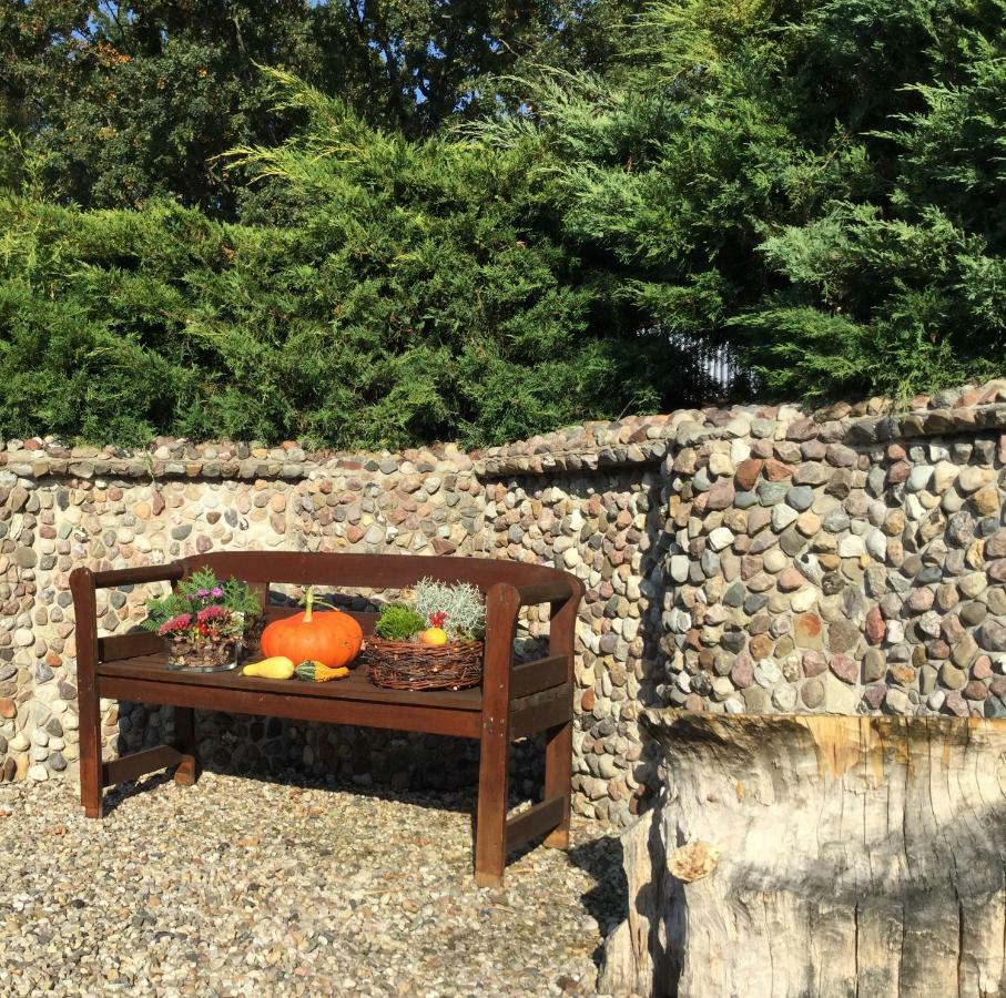 Ferienhaus "Am Gutspark" Alt Tucheband エクステリア 写真