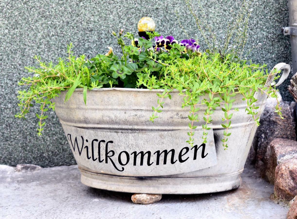 Ferienhaus "Am Gutspark" Alt Tucheband エクステリア 写真